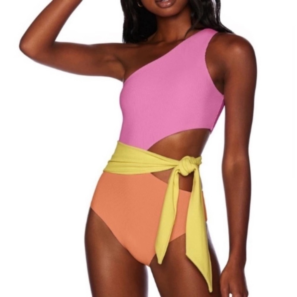 New! Beach Riot Carlie Fruity Colorblock One Piece Swimsuit 24038 - Picture 5 of 12
